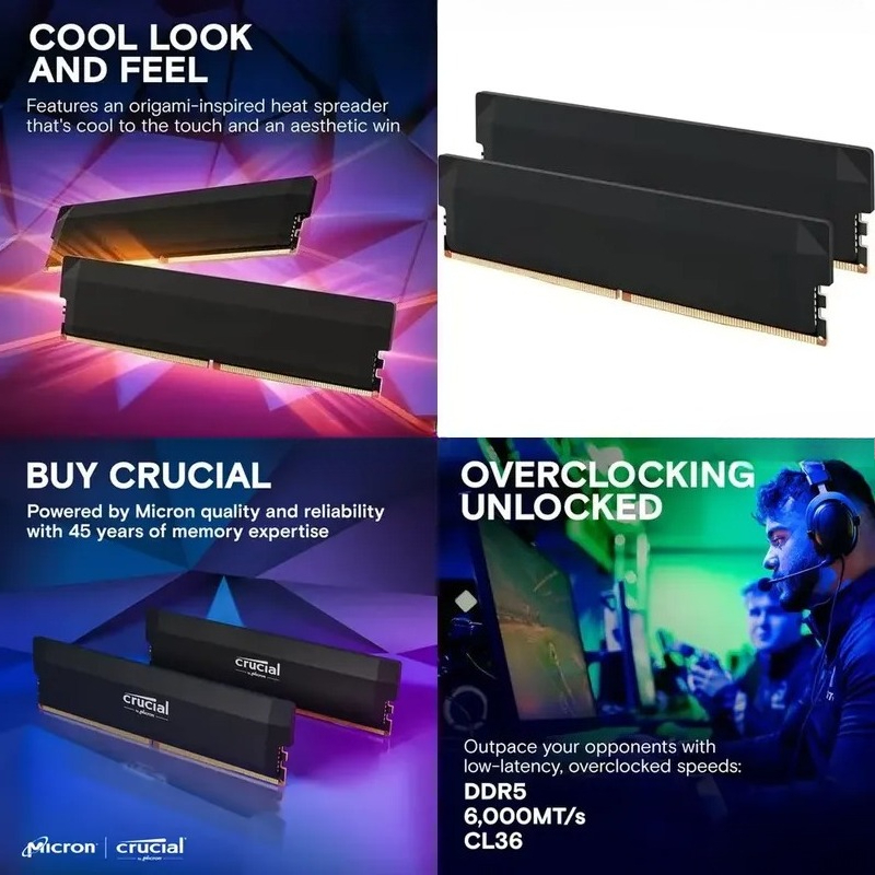Ddr5 Ram - AMD EXPO DDR5 32GB 키트 16GBx2