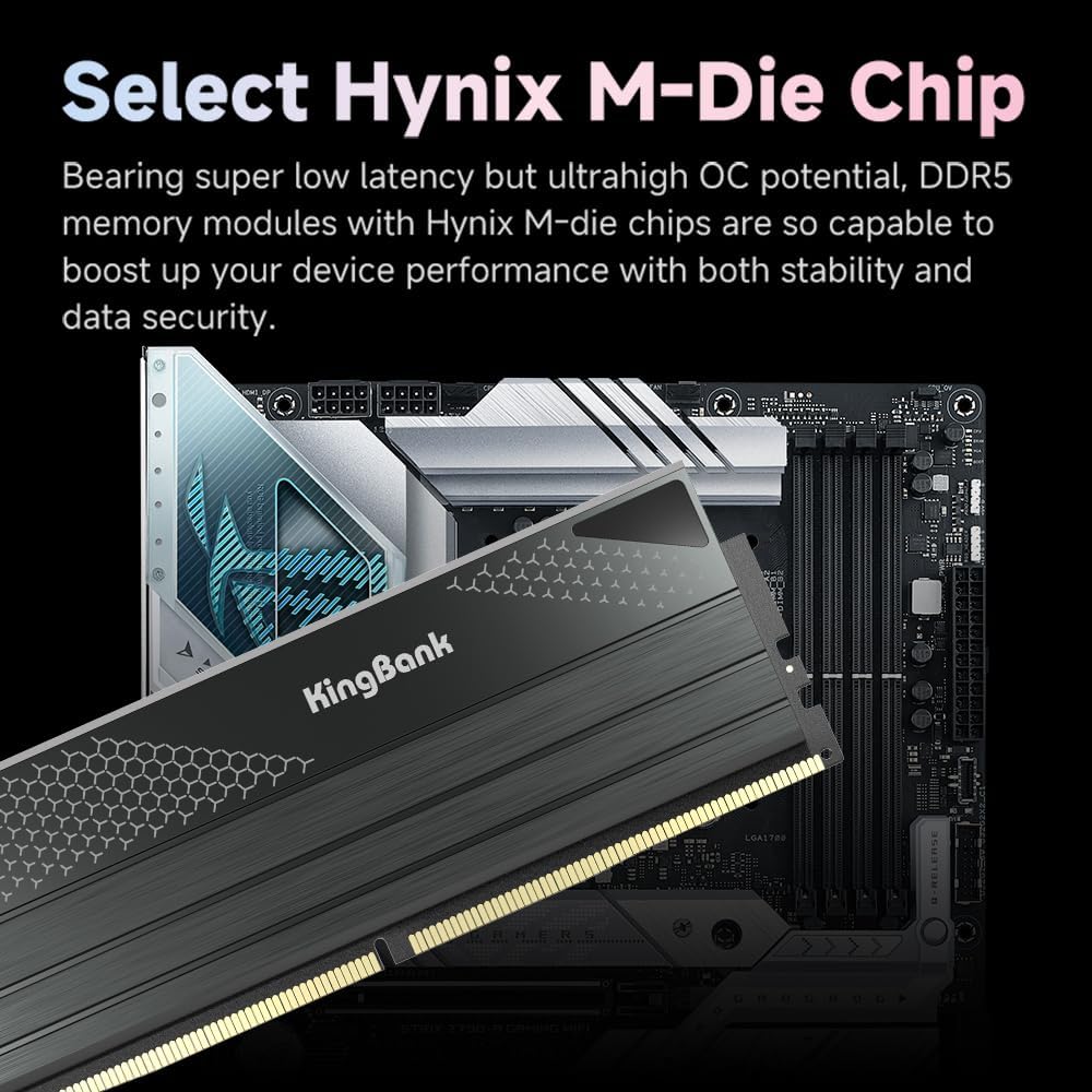 킹뱅크 DDR5 KFXB 메모리 48GB(24GBx2) - Ddr5 Kit 리뷰 및 가격