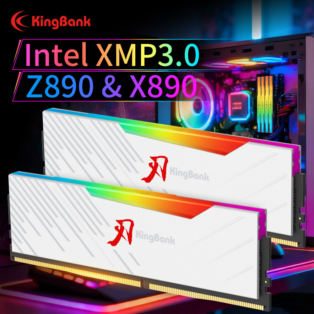 킹뱅크 KRRW DDR5 RAM 48GB (24GBx2 - Ddr5 4800Mhz 리뷰 및 가격